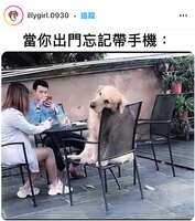 https://images.plurk.com/25k9iMg4bnBeh8mmu2t1ah.jpg
