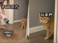 https://images.plurk.com/25nEJzRMMHy5xkMLTtb96z.png