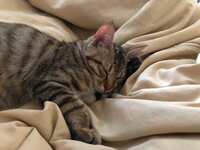 https://images.plurk.com/25oCRWyHEGQi7xEyJFiY29.jpg