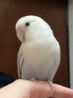 https://images.plurk.com/25pmHdmeT2zCwk0lkRIfA9.jpg