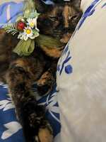 https://images.plurk.com/25qKhmRJoi054IsVHfab6O.jpg