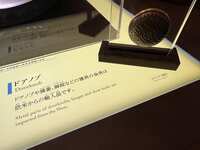https://images.plurk.com/25vTNva1yC9JcWTD1kT3mX.jpg