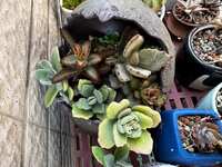 https://images.plurk.com/260gywNoSD43chCrYzlYy1.jpg