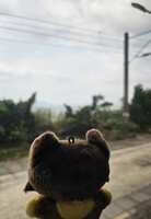 https://images.plurk.com/263cr9y5WrVdUejdnaIOKl.jpg
