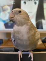 https://images.plurk.com/26A8S9ZBQrY4LCtRKJd5t8.jpg