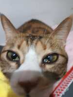 https://images.plurk.com/26BS6YJPaWdrb9M4NIstzG.jpg