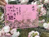 https://images.plurk.com/26CNgk1VmjCvUIYjel3tKw.jpg