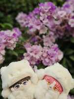 https://images.plurk.com/26CVI0DOmrfd3fCJQyzvOK.jpg