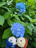 https://images.plurk.com/26DTU4p2F4gqZAiyR1vEvF.jpg