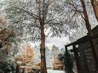 https://images.plurk.com/26L5tbP4ca2uEn2ARKr01F.jpg