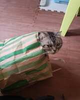 https://images.plurk.com/26NIuTqhKkWZIOgC4Y9LRI.jpg
