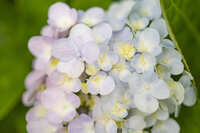 https://images.plurk.com/26Y0OUf9XYeh757wgiUIry.jpg