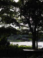 https://images.plurk.com/26eCXca7hXi1K5zbIwpfnR.jpg