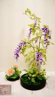 https://images.plurk.com/270FgFwZBzzbO1C2hDSpya.jpg