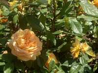 https://images.plurk.com/271zSkegRIf078Y42Y601l.jpg