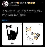 https://images.plurk.com/272HxaJ6iX53sTSwEa8m4C.jpg