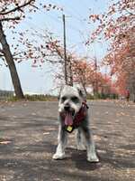 https://images.plurk.com/278rql25xe0IcxtA4kaEcm.jpg