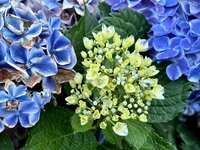 https://images.plurk.com/279k8ucpvlSQp9xCeTBXL5.jpg