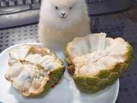 https://images.plurk.com/27FpVG4UEgZizT6dGnoK04.jpg