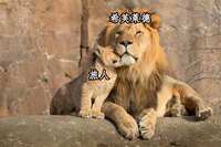 https://images.plurk.com/27LYMMHF1lLU363iRY6rxa.png