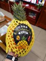 https://images.plurk.com/27cJI6SAgjHjHPFUOHgRZk.jpg