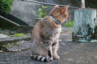 https://images.plurk.com/27k8zloAZCGD6jfjWMKiWM.jpg