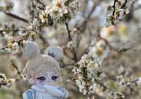 https://images.plurk.com/27mjdSaszzd57nARswhfle.jpg