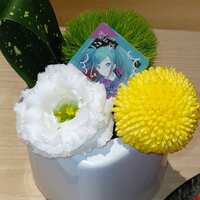 https://images.plurk.com/28BGBG35oVBcOnEUpL4wJJ.jpg
