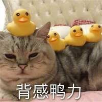 https://images.plurk.com/28E1A7gREeIqPnlVcS4CTq.jpg