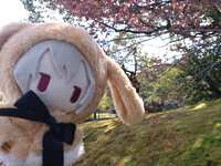 https://images.plurk.com/28GKTa0MLjAeqQh3ApgdIA.jpg