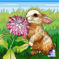 https://images.plurk.com/28NNe5Q3l0EO8H7sTTCCNP.jpg