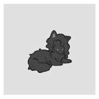 https://images.plurk.com/28R6BcK9PO55V4MddjoTLZ.jpg