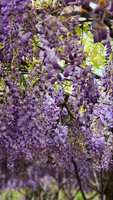 https://images.plurk.com/28RCtDSsdk8Ej8duyx6viD.jpg