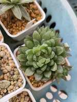 https://images.plurk.com/28VMQFmcAmiJUdABg9a3lL.jpg
