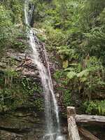 https://images.plurk.com/28VoPqxomv1lqDGiAkUvF4.jpg