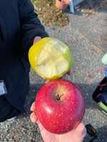 https://images.plurk.com/28Xymf7DlccO6eNFU4fx7E.jpg