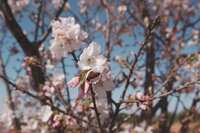 https://images.plurk.com/28Z6xJwu6BU8DInzRjvscp.jpg
