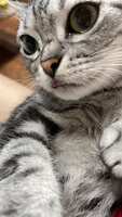 https://images.plurk.com/28cgqvuKaFI35vfYHTwQg1.jpg