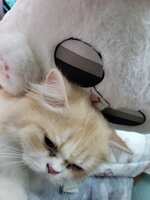 https://images.plurk.com/28f3b3rDg5viyLbJ0nNnox.jpg