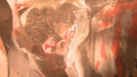 https://images.plurk.com/28gsSGq7gWp5wMNzvgrCIn.jpg