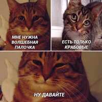 https://images.plurk.com/28hdnZyyXAS6umH47siUut.jpg