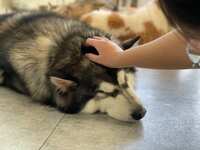 https://images.plurk.com/28i42aSzQWdYFZ8t8u92vU.jpg