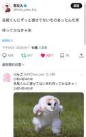 https://images.plurk.com/28pW510zo9S88288UegTQ1.jpg
