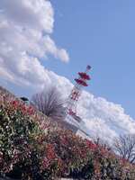 https://images.plurk.com/296PN3SwGtKxz2M2WvC6r9.png