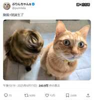 https://images.plurk.com/298kG9w2z3st9XjrHMWRGT.jpg