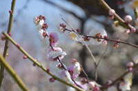 https://images.plurk.com/299Q47LJL8ZtPBfTJGOYbI.jpg