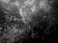 https://images.plurk.com/29AMCmdoTdKnU1H9ERsGn3.jpg