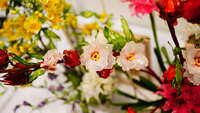 https://images.plurk.com/29bIQyIjItepUewxkMNkm2.jpg