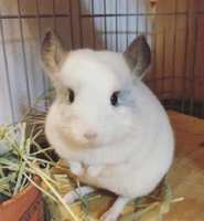 https://images.plurk.com/29bRF3HgY6w2XQvfddH4cC.jpg