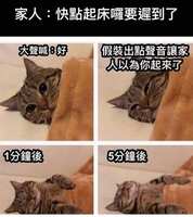 https://images.plurk.com/29dUuUxvzcDHLCOZkZf90t.jpg